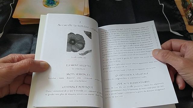 L'Oracle de la Femme Guérisseuse de Carole Pirmez et Lynä ? смотреть онлайн