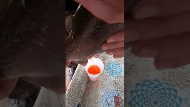 юдинки на минке смотреть онлайн