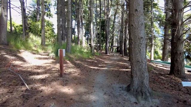 4 года каналу и пятьдесят тысяч подписчиков: как это было