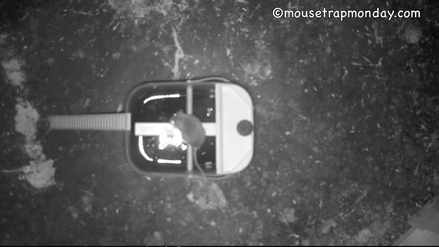 The Original Dunk-Em Mouse Trap In Action With Real Mice - Motion Cameras смотреть онлайн