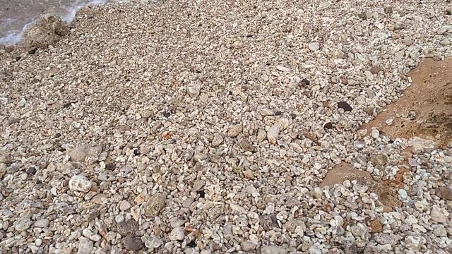Crushed Coral смотреть онлайн