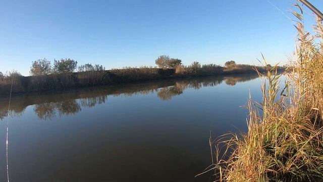 Поймал ОКУНЯ на LIBRA LURES!!! #libralures #libraluresrussia #fishing #crazyfish #daiwa #окунь