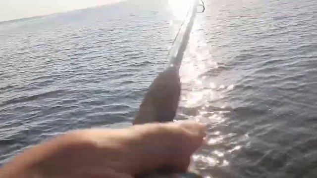 РЫБАЛКА НА КАМЕ. 5 ЗАБРОСОВ-5 РЫБ. НОЧЬ НА ВОДЕ. 14.06.23 смотреть онлайн