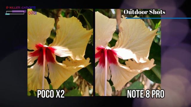 SONY IMX 686 VS SAMSUNG GW1 - THE BEST 64 MP SENSOR| POCO X2 VS NOTE 8 PRO CAMERA COMPARISON IN ODI смотреть онлайн