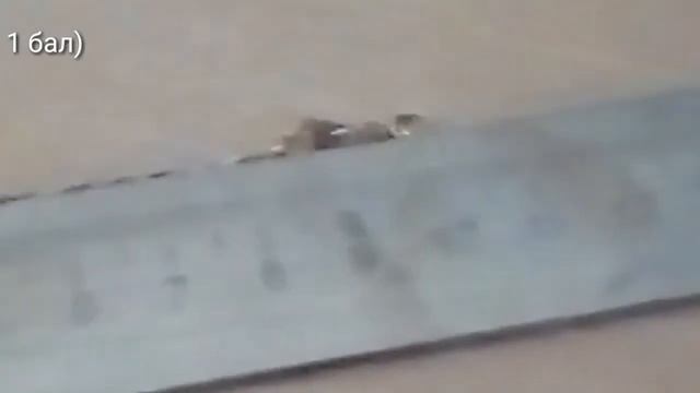 Обзор на цепь арго которая шла в подарок с очками смотреть онлайн