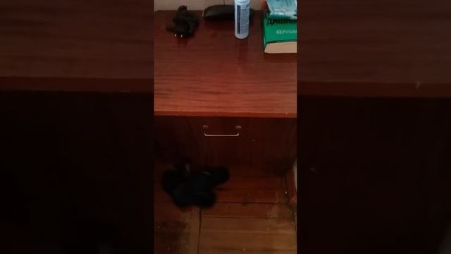 Отдых май 2017 год военный санаторий Ялта смотреть онлайн