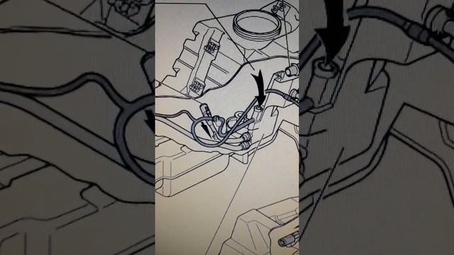 Решена проблема половины бака Ремонт топливного насоса audi a8 d2 4.2 ремонт топливного насоса смотреть онлайн