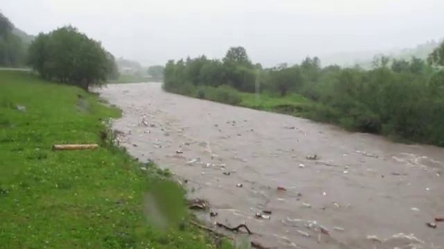 речка в Карпатах смотреть онлайн