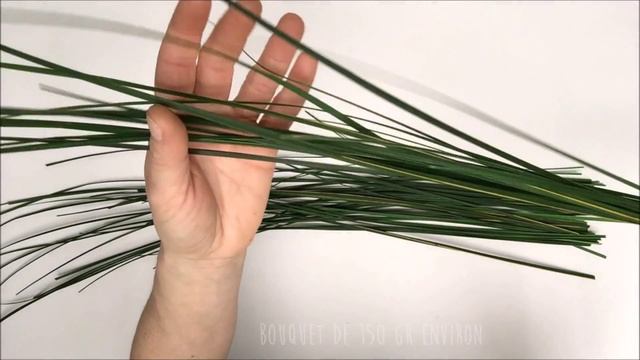 Secondflor.com | Gynerium Stabilisé смотреть онлайн