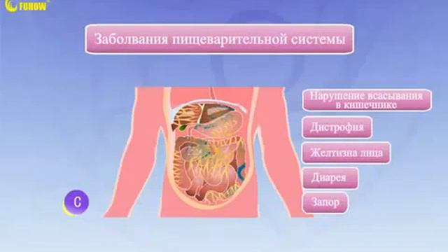 Что такое микроциркуляция и как она важна для организма! смотреть онлайн