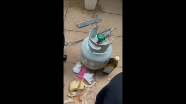 Wild Dragon Taming (Trick 1, Step 5/8) - Biting the hand that feeds 1 смотреть онлайн