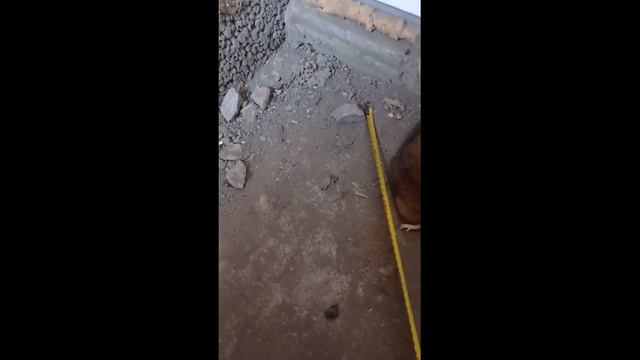 #крыса#шок#в_подвале#shorts Крысаааа!Шок размер!! смотреть онлайн