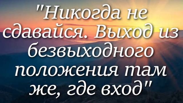 Дарья ДОНЦОВА. Лучшие цитаты за 1 минуту! смотреть онлайн