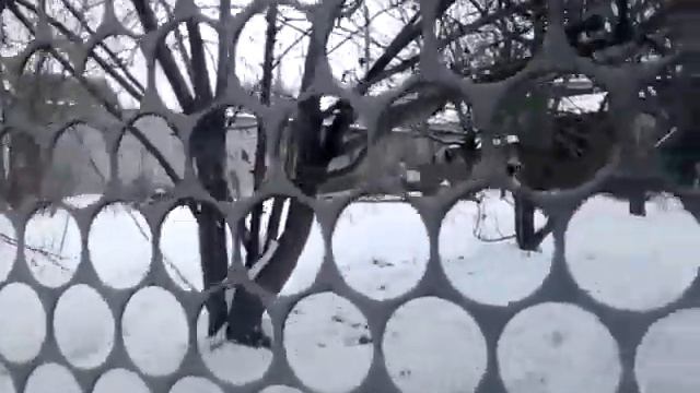 Травлю собак смотреть онлайн