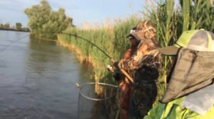 Ловля сома    база отдыха  ''Застава'' Астрахань