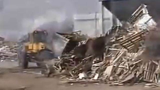 Одновальный измельчитель HUSMANN HL I 1222 для дерева и ТБО смотреть онлайн