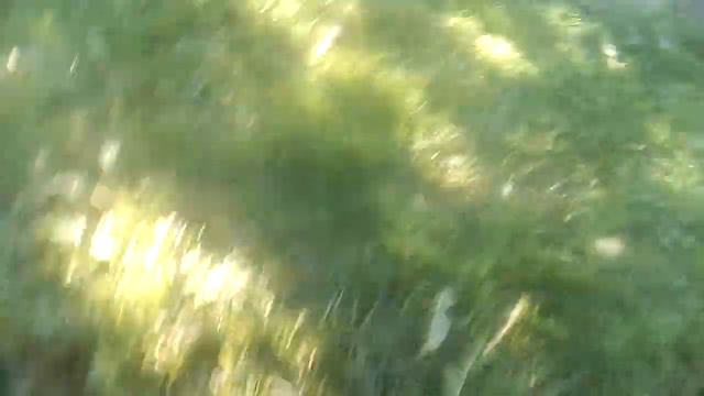 Короче я приехал на дачу смотреть онлайн