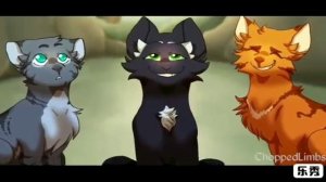 История Белки. Коты Воители.