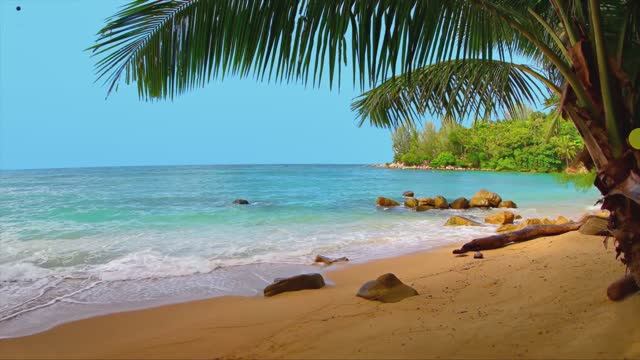 Бесплатный IPTV фильмы ,спорт и детские каналы 2022 смотреть онлайн