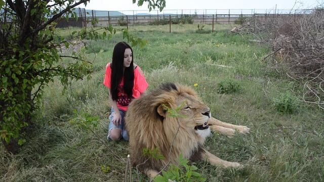 Тайган смотреть онлайн