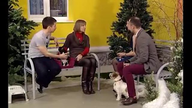 Двор на Субботней: мартовский кот без хлопот смотреть онлайн