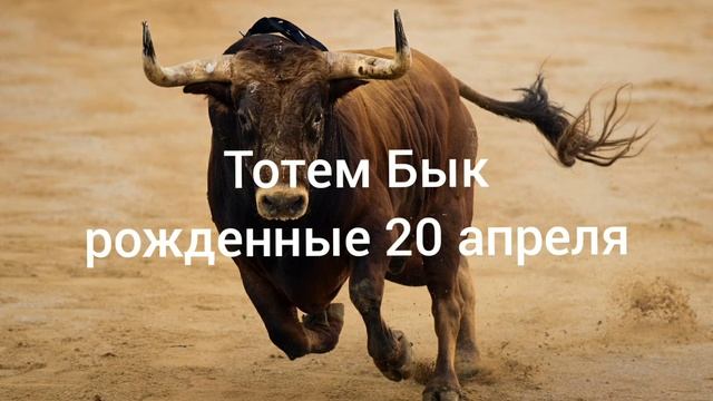 Тотем Бык рождённые 20 апреля смотреть онлайн