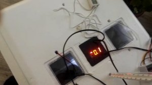 Проблема с инкубатором Несушка, решена