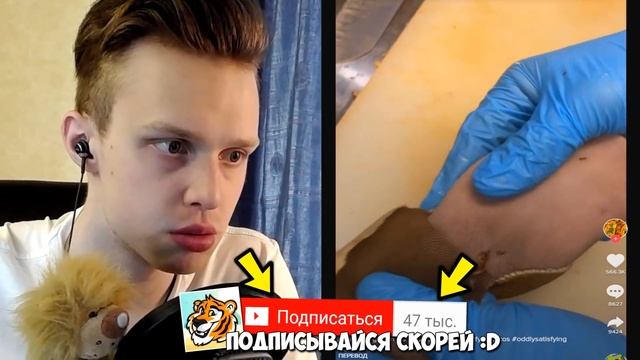 СМОТРИ НЕ ЗАЛИПНИ! Это САМОЕ ПРИЯТНОЕ ВИДЕО в ТИКТОКЕ - Попробуй Не скажи ВАУ Челлендж смотреть онлайн