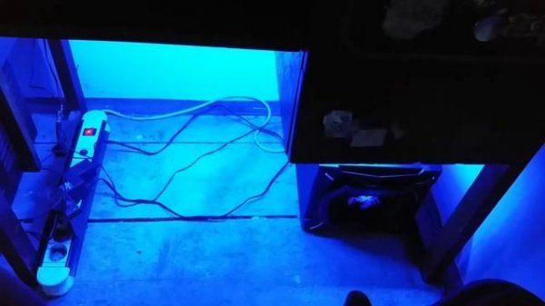 Genius Sw-G 2.1 2000 test ;)