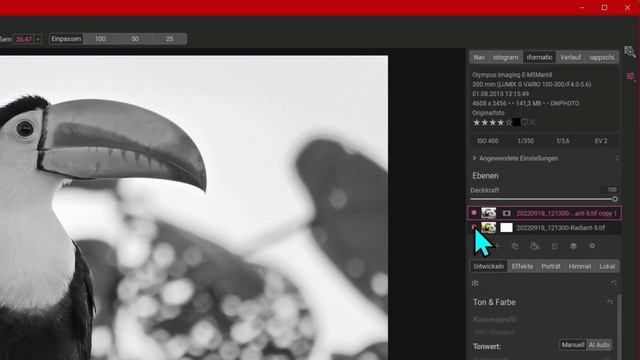 "Nik Collection 6" als Plugin mit "on1 Photo RAW" nutzen - GEHT DAS ? смотреть онлайн