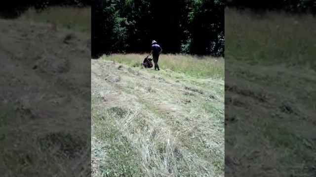 MF 70 in actiune смотреть онлайн