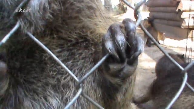 Мутанты из метро :) смотреть онлайн