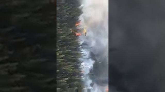 Unknown location forest fire being started by helicopter смотреть онлайн