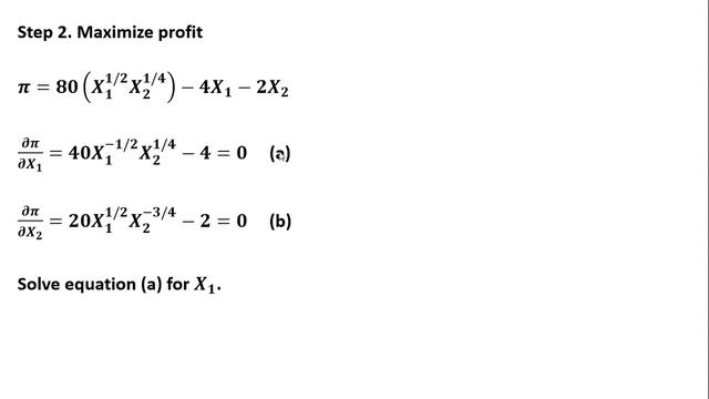 Production Function Profit Maximization Problem смотреть онлайн