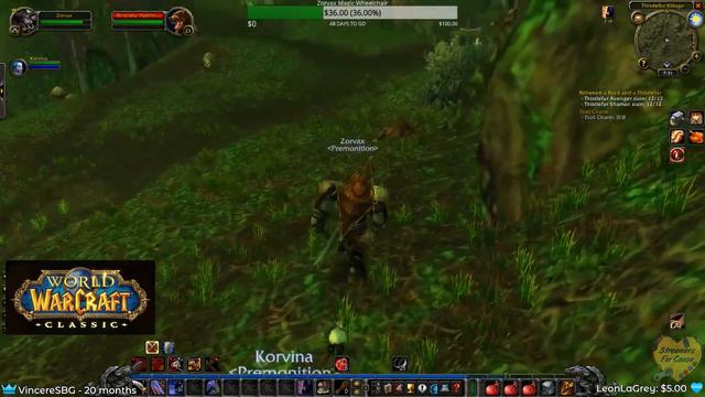 Classic WoW Leveling Episode 11