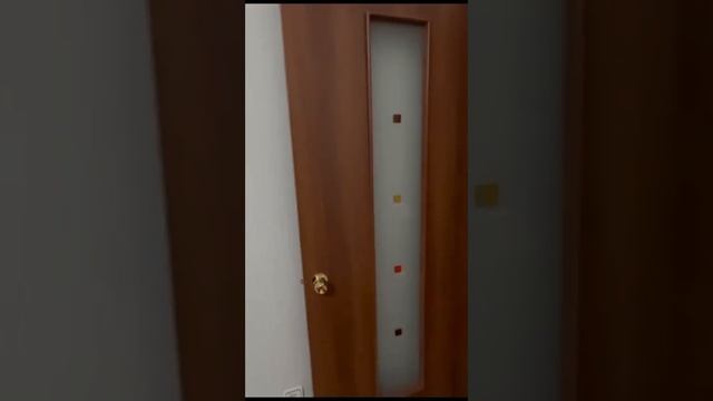 Видео WhatsApp 2023 10 25 в 21 47 19 312c3b71 смотреть онлайн