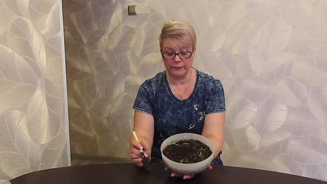 Уточнения к ролику о торфе Классман.13.02.2020 смотреть онлайн