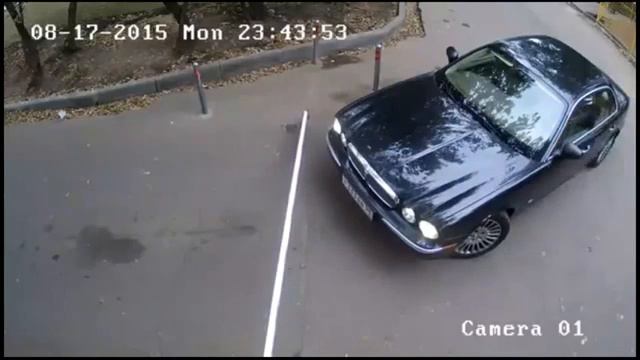 protiv shlagbauma смотреть онлайн