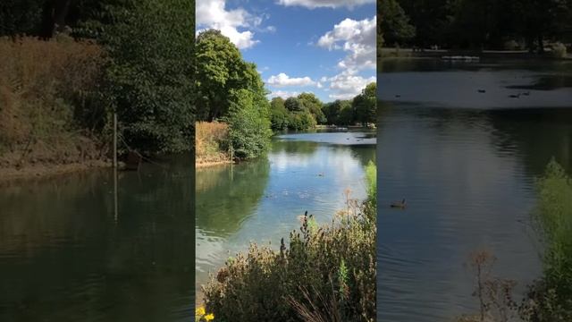 Victoria Park, LONDON-1 смотреть онлайн