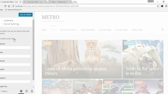 Step 9: Social Settings | Metro Magazine WordPress Theme смотреть онлайн