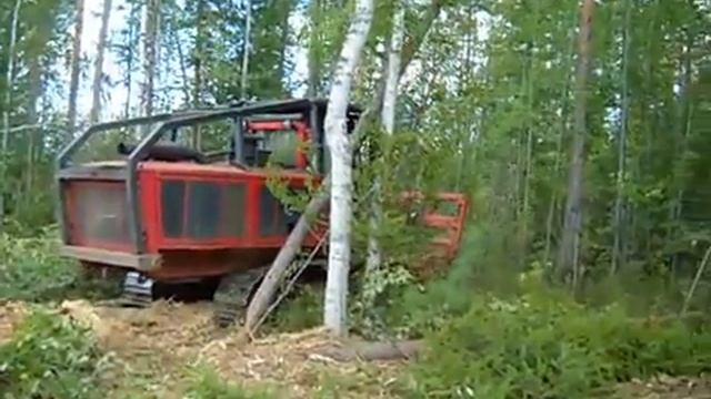 Самоходный гусеничный мульчер AHWI RT400  в тайге