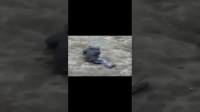 Дракарис #Shorts Дом драконов смотреть онлайн