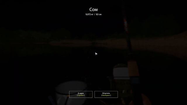 река Ахтуба. СОМ. Хороший фарм. Русская рыбалка 4. смотреть онлайн