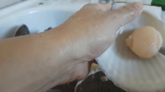 Как чистить гребешок / сашими из морского гребешка / how to cook scallops recipe смотреть онлайн