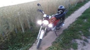 Поставил ФСО на Alpha|Будни ALPHAвода