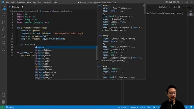 OpenCV Python Image Perspective Transform смотреть онлайн