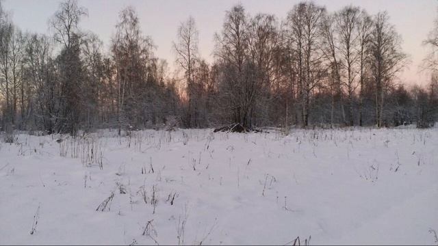 Зимняя сказка