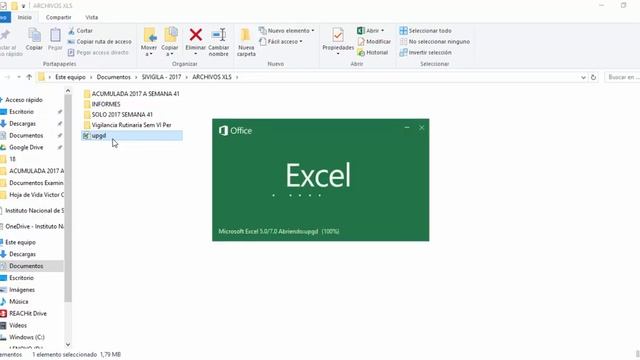 Exportar UPGD/UI de SIVIGILA a excel (Xls) смотреть онлайн