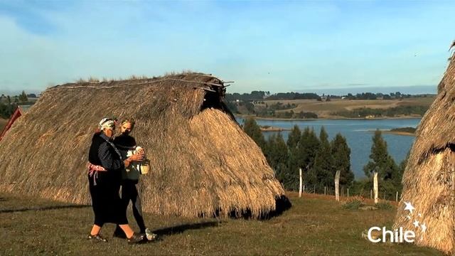 Путешествие в Чили. Такое Вы еще не видели! | Travel to Chile. You haven't seen this yet! смотреть онлайн