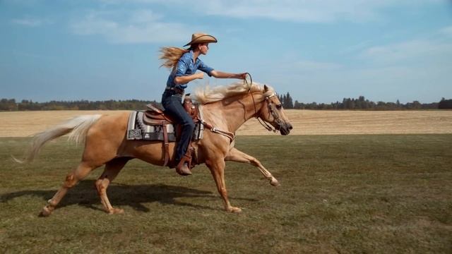 Шикарная Девушка верхом на лошади. Это очень красиво